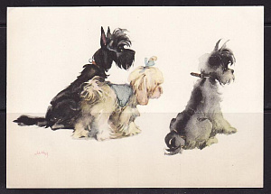 СССР 1965 Собачки открытка